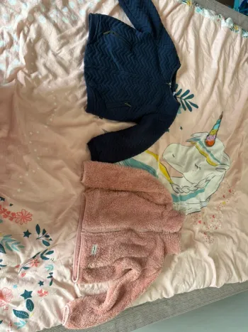 Deux gilet polaire