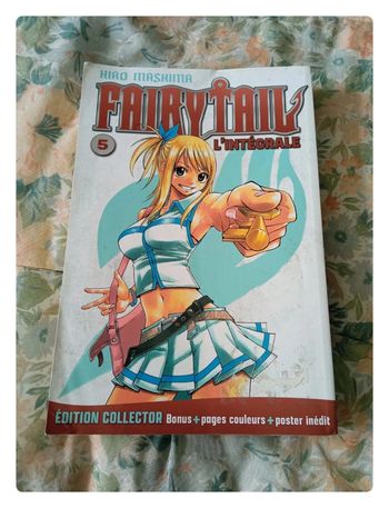 Mangas fairy taille l'intégrale tome 5