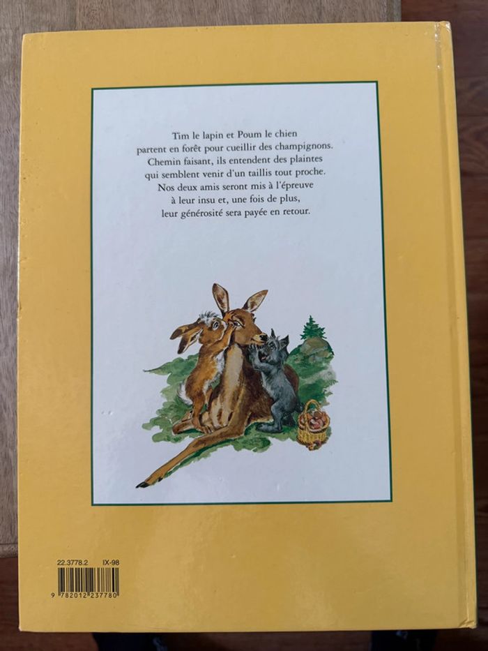 Grand livre album vintage Tim et Poum dans la forêt Pierre Probst auteur Caroline - photo numéro 2