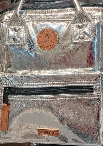 Beau sac Small Cabaia Argenté 