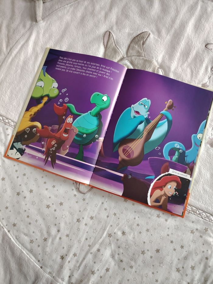 Livre ariel - photo numéro 3