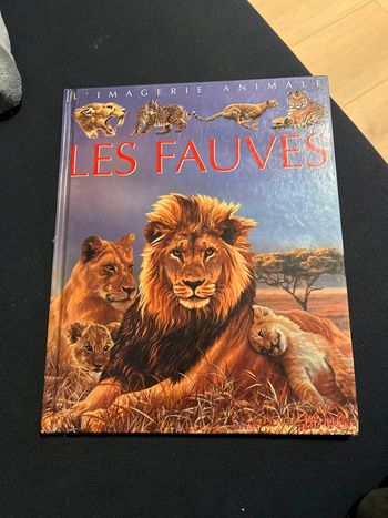 Livre pour enfants la grande imagerie fleurus les fauve s