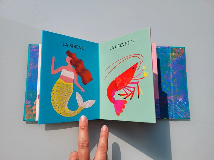 Superbe livre accordéon Amaterra 🪸 Sous la Mer 🐡 - photo numéro 10