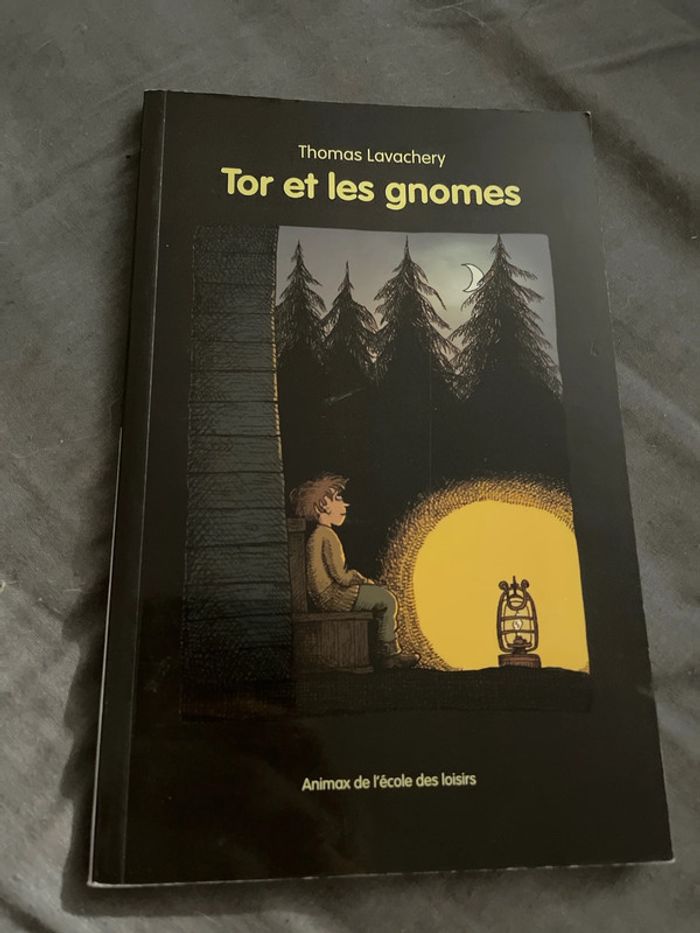 Tor et les gnomes
