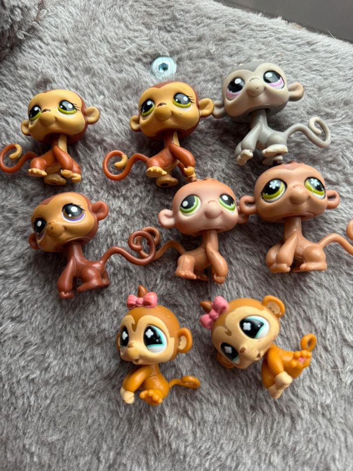Lot petshop singe - photo numéro 3