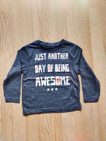 Sweat léger gris Awesome Bronzini