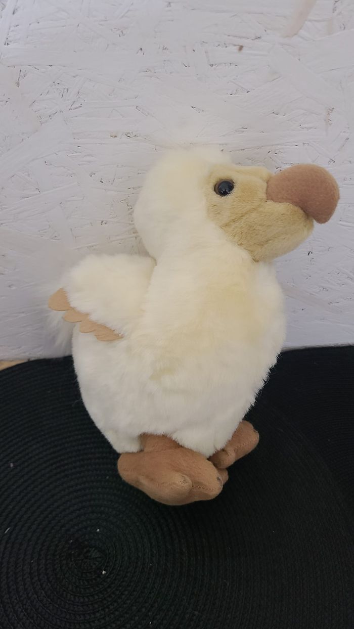 Peluche oiseau dodo WALLY PLUSH TOYS Mauritius beige - photo numéro 4