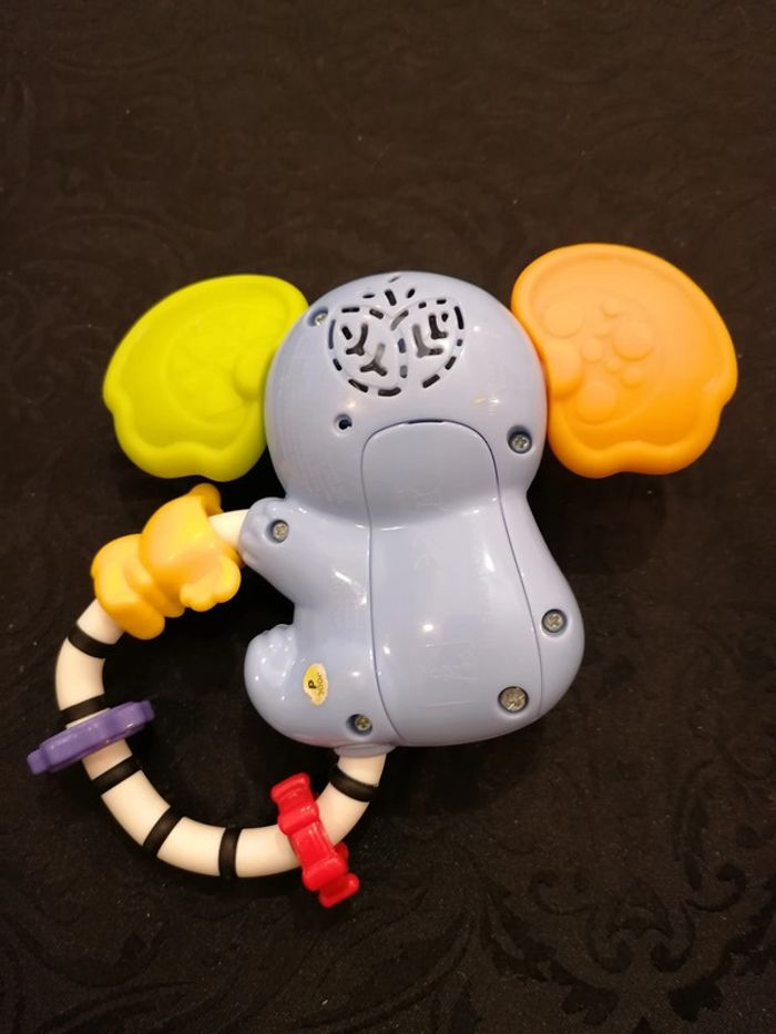 Koala - photo numéro 4