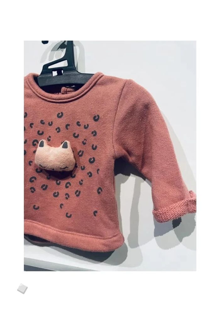 Pull / sweat chat - 1 mois - photo numéro 4