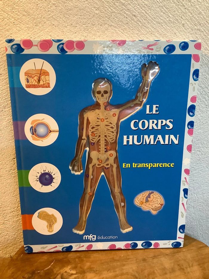 Figurine et livre sur le corps humain - photo numéro 9