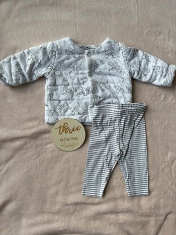 Ensemble Mixte Lapin