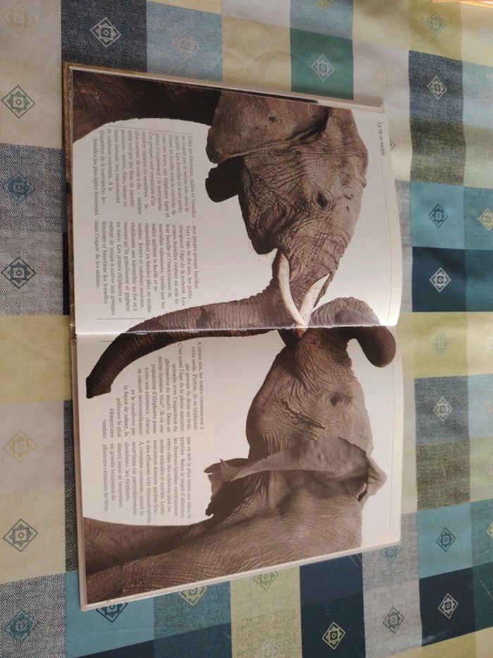 Livre sur l'éléphant - photo numéro 8