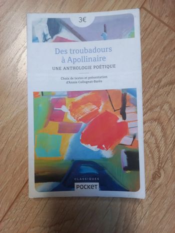 Des troubadours à Apollinaire
