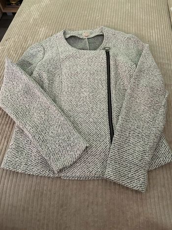 Gilet gris et blanc