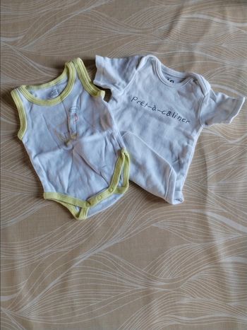 Bodies été