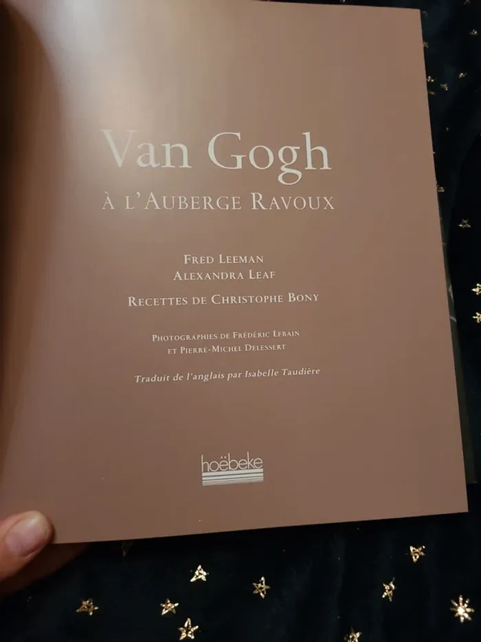 Livre Van Gogh à l'Auberge Ravoux - photo numéro 12