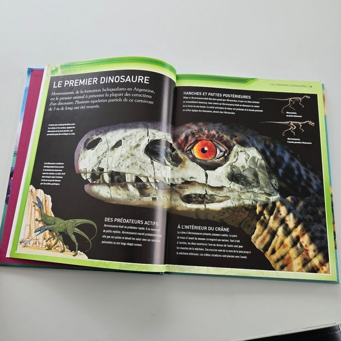 Livre tout sur les Dinosaures - photo numéro 5