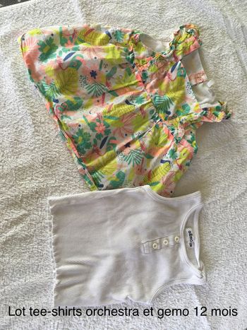 Lot 2 tee-shirts 12 mois