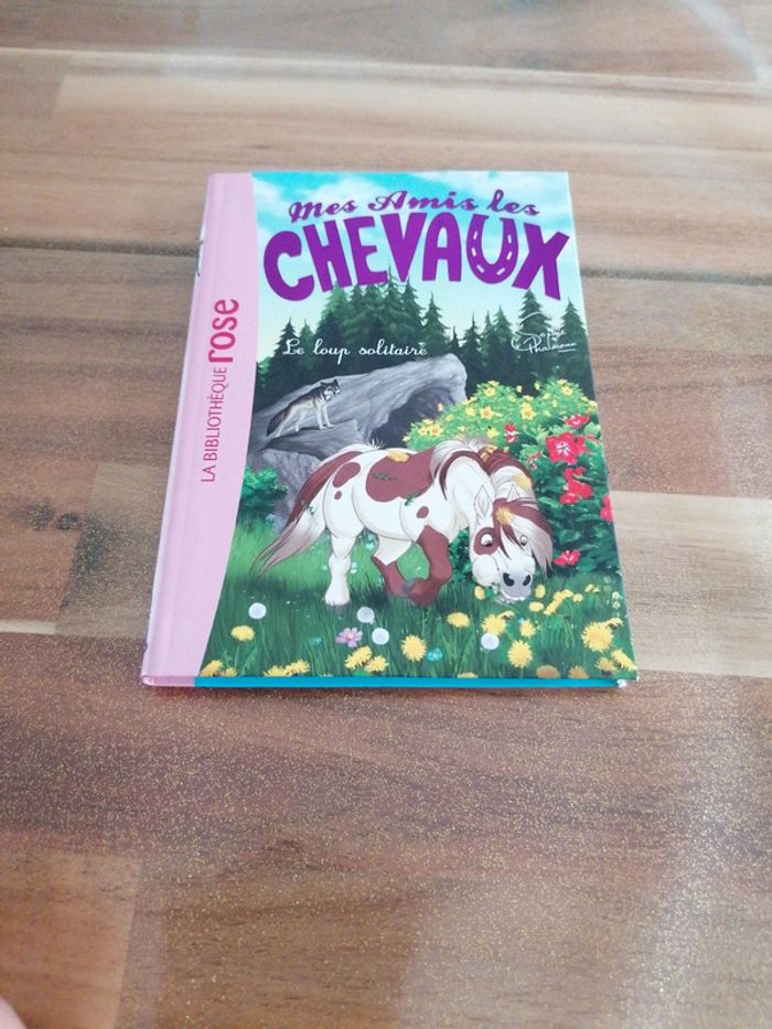 Livre mes amis les chevaux Le loup solitaire