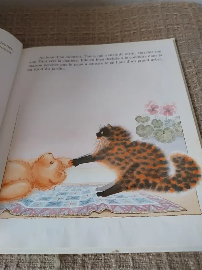 Tania et Titus dans la maison perchée-Meg Rutherford-Flammarion 1986 - photo numéro 4