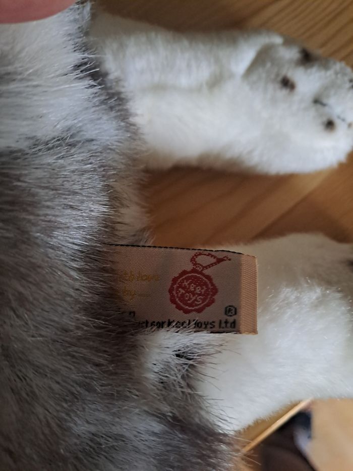 Husky coucher - photo numéro 5