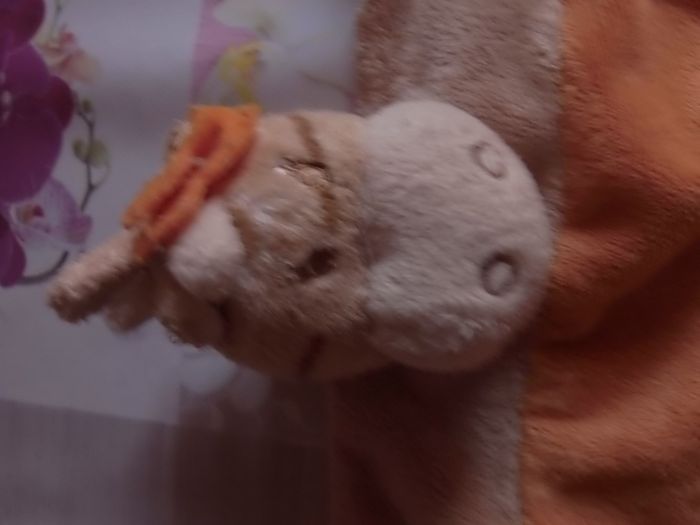 Doudou beige - photo numéro 2