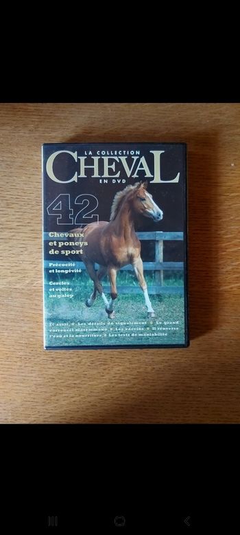 DVD