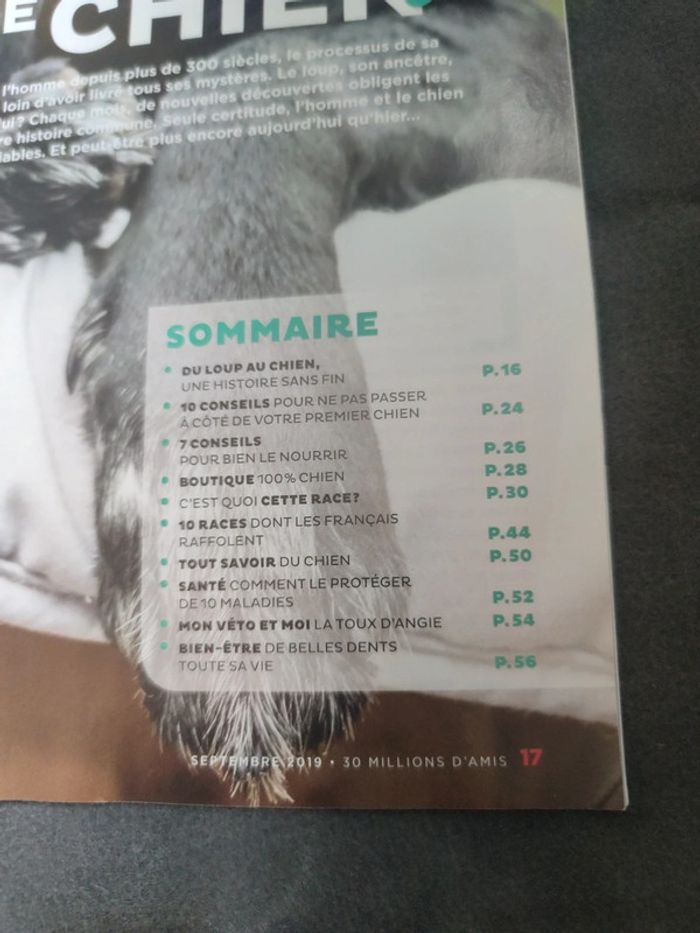 Magazine 30 millions d'amis numéro 376 septembre 2019 - photo numéro 5