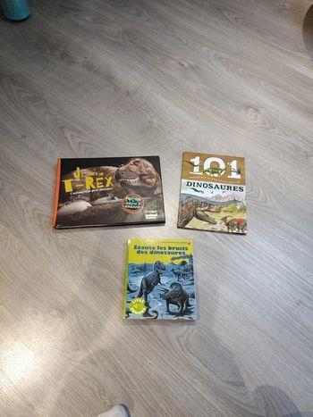 Lot de 3 livres dinosaures