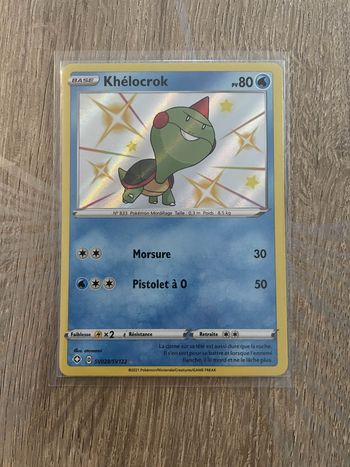Pokemon Khélocrok Shiny