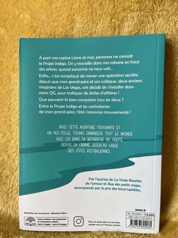 Livre, projet indigo d’Agnès Laroche - photo numéro 2