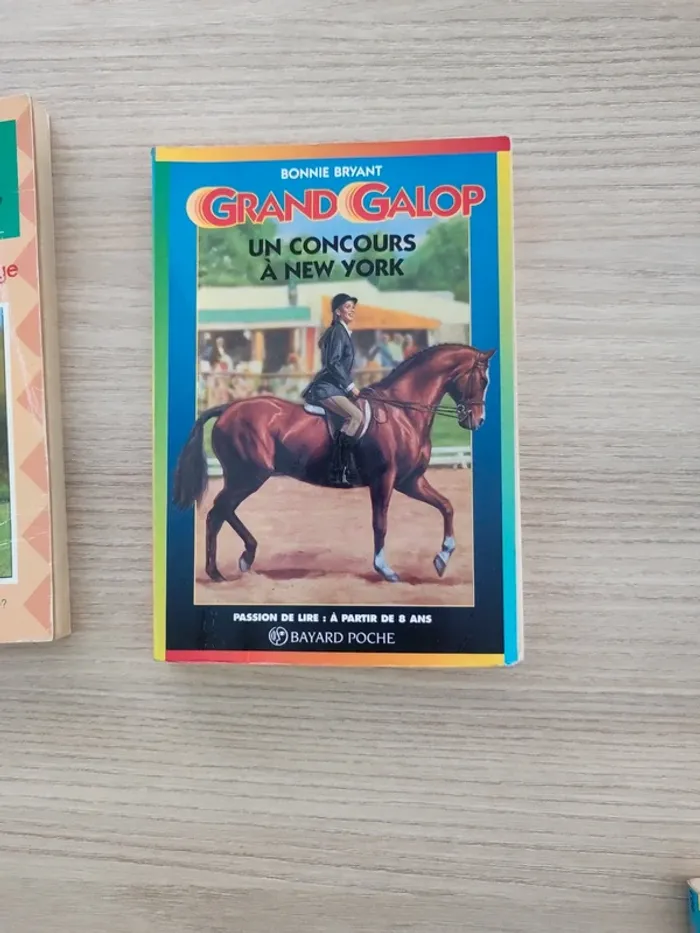 Lot 3 livres chevaux - photo numéro 2