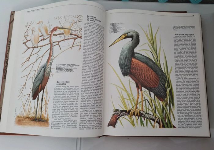 Collection " Les animaux " de 8 tomes - photo numéro 3