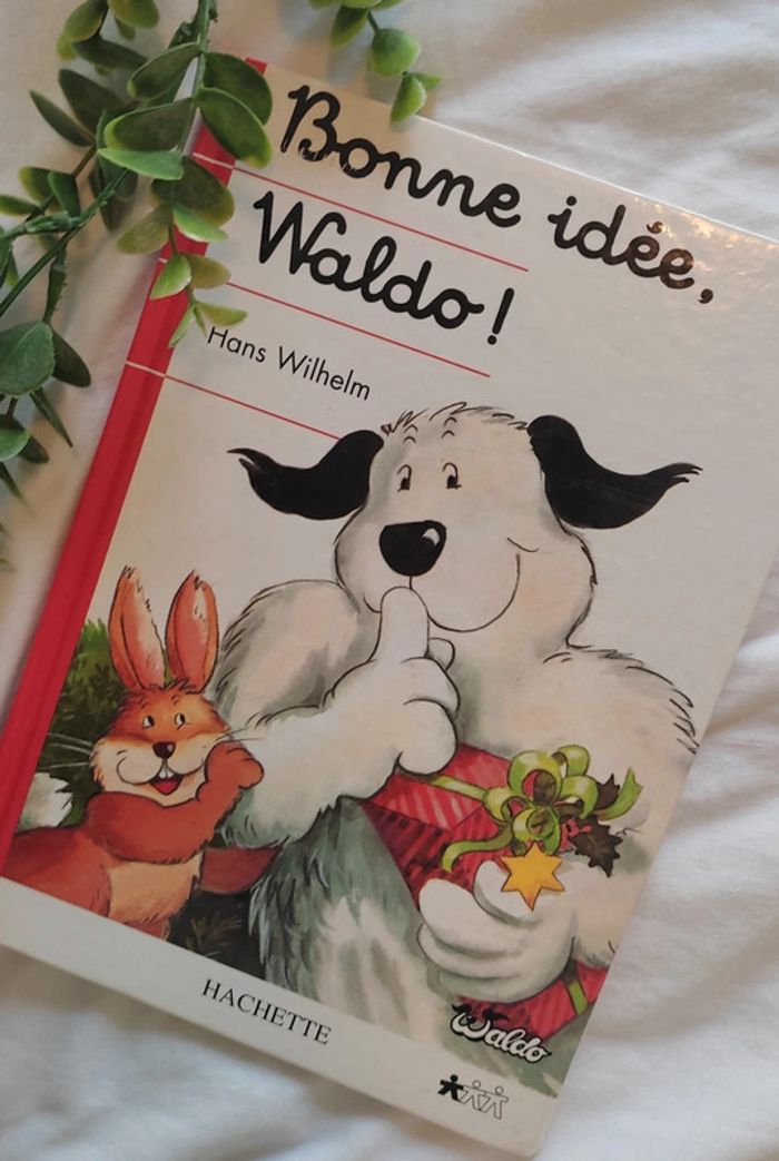 Livre pour enfants Bonne idée Waldo.