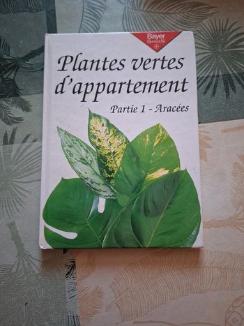 Plantes vertes d'appartement