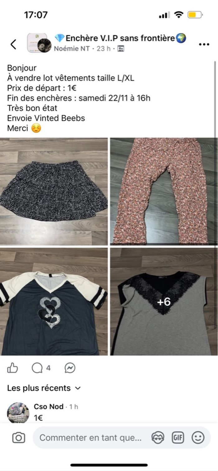 Lot vêtements femme