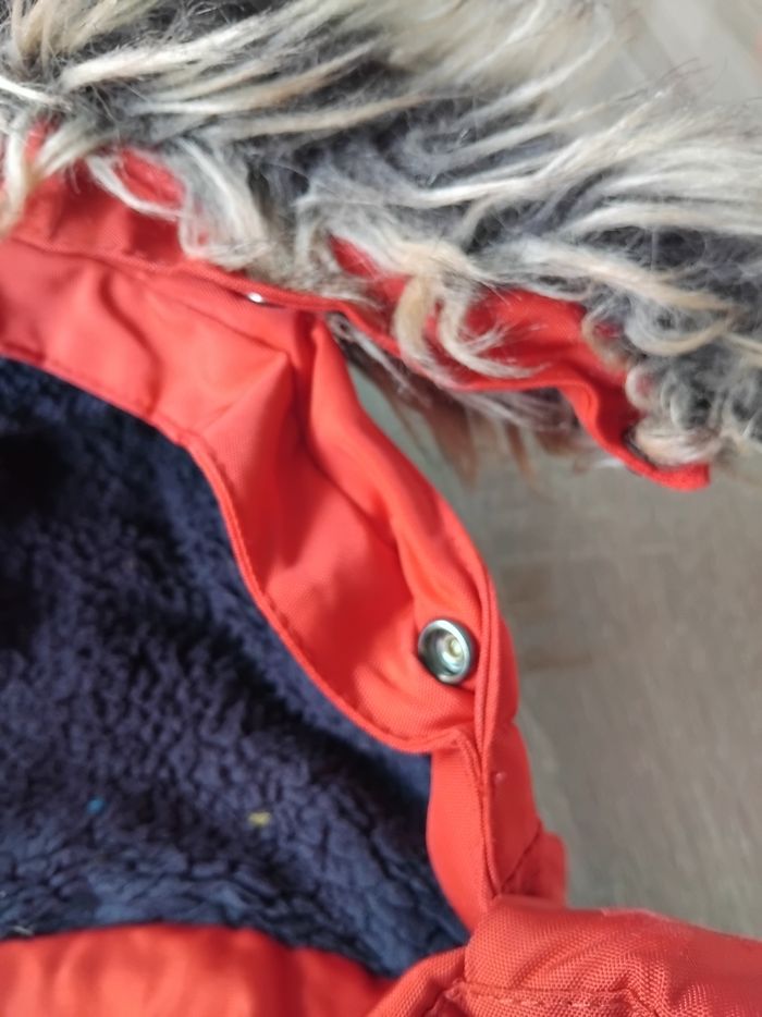Manteau - photo numéro 5