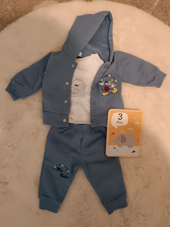 Ensemble mickey