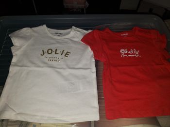 Lot de 2 tee-shirts
