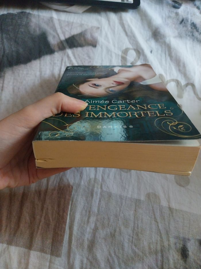 Roman Le Destin d'une Déesse tome 3 La Vengeance des Immortels Darkiss Aimée Carter - photo numéro 9