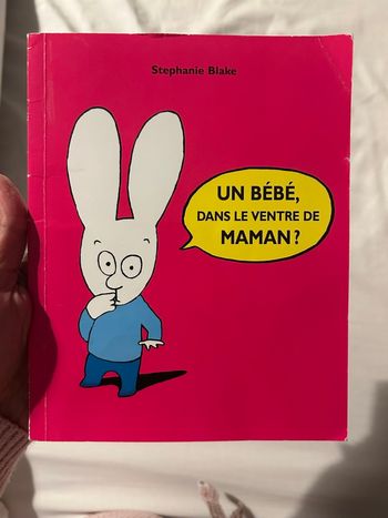 Un bébé dans le ventre de Maman