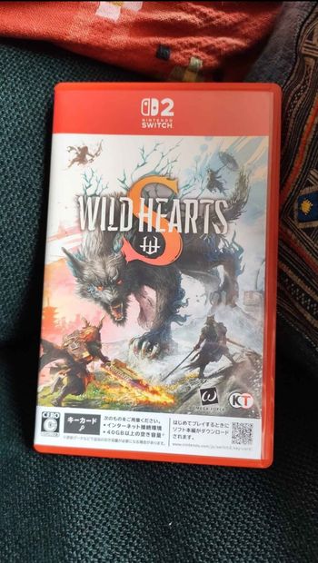 Wild Hearts S Switch 2