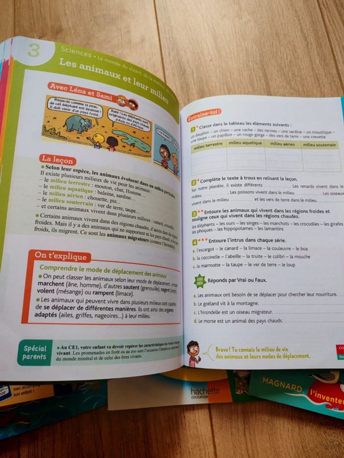 Lot de cahier de vacances ce1 - photo numéro 12