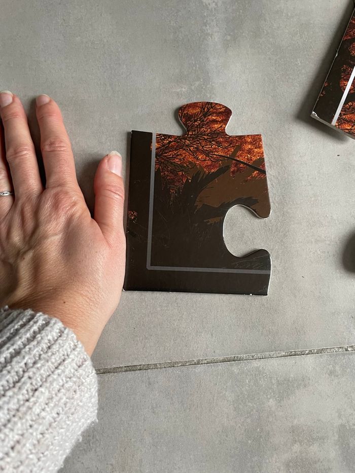 Puzzle dinosaures - photo numéro 2