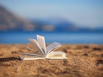 L'Après-zen J. Van de Wetering, Isabelle Reinharez (Traduction)