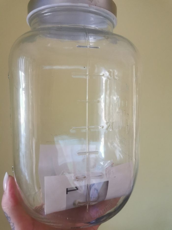 Fontaine à boisson 3L neuve - photo numéro 2