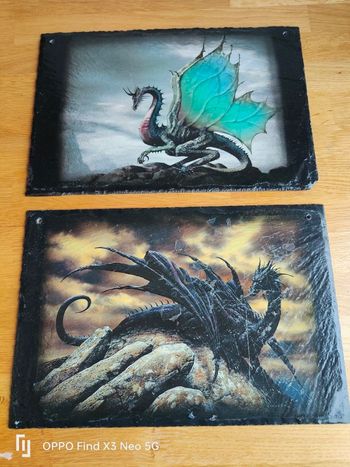 2 cadres en ardoise Dragons