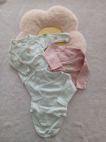 Bodies