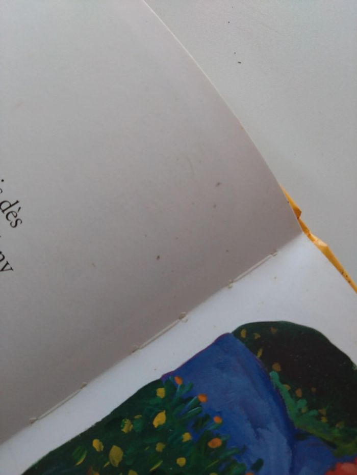 Drôle de petites bêtes - photo numéro 7