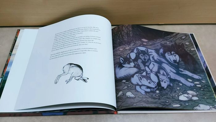 📚 Livre : Bagdan - photo numéro 3